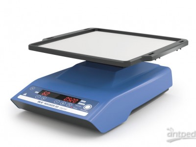 ROCKER 2D digital 摇床