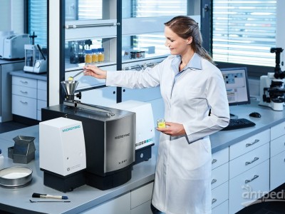 麦奇克 颗粒分析器 CAMSIZER® X2