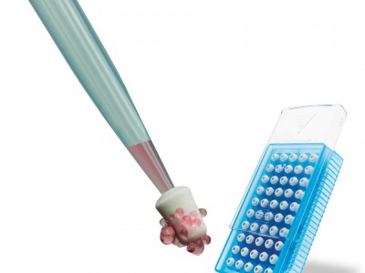 SP Bel-Art FLOWMI细胞过滤器