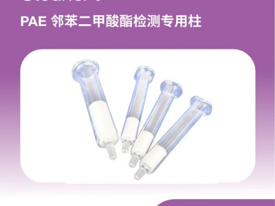 艾杰尔CleanertPAE专用柱500mg/500m