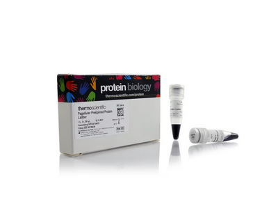 PageRuler™ 预染蛋白分子量标准，10 至 180 kDa 26617 10 x 250 µL图1