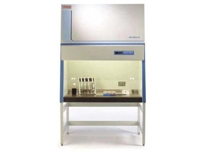 Thermo Scientific™ 1300系列二级A