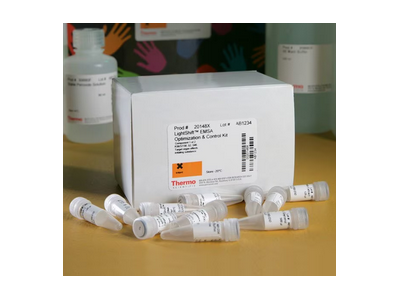 LightShift™ 化学发光 EMSA 试剂盒 20148 100 reactions图1