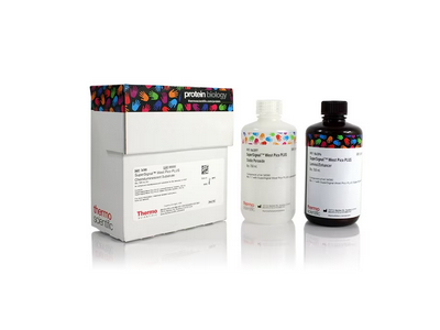 SuperSignal™ West Pico PLUS 化学发光底物 34580 500 mL图1