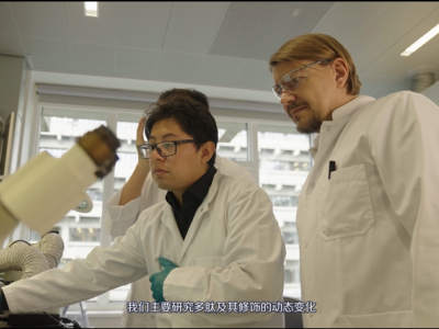 精选                                                                                                  图1