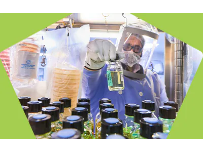 细胞和病毒库制造与测试