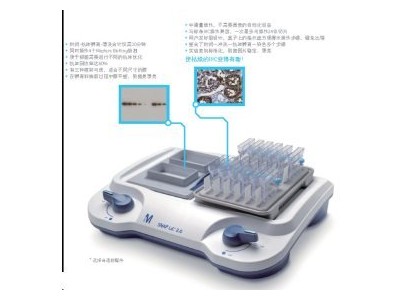 精选                                                                                    SNAP i.d. West图2