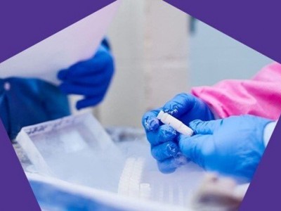 稳定性测试服务