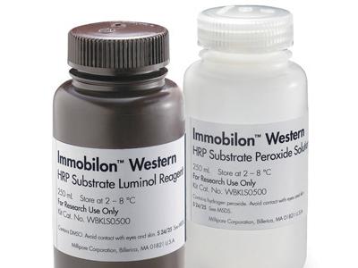 WBULS0500 WB HRP化学发光底物