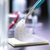 IPVH10100   Immobilon-P PVDF转印膜