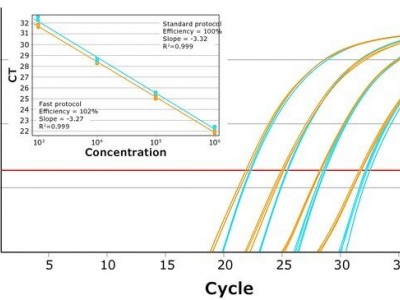 PFUKB Roche  KAPA PROBE FAST