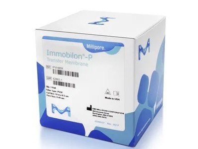 IPVH85R Immobilon-P PVDF 转印膜, 