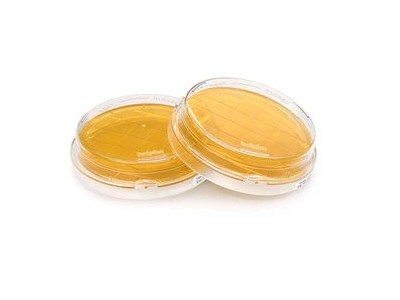 1.46001 Tryptic Soy Agar胰蛋白大