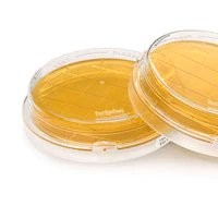 1.46001 Tryptic Soy Agar胰蛋白大豆琼脂，ICR 30ml