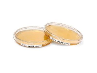 1.46685胰蛋白酶大豆琼脂