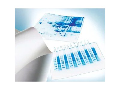 IPVH00010  Immobilon-P PVDF 膜