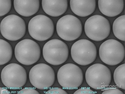 KYKY-EM6900LV系列扫描电子显微镜用于微生物图3