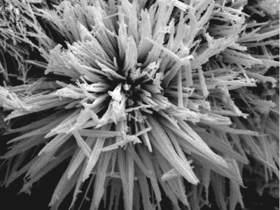 KYKY-EM8000场发射扫描电子显微镜用于粉末冶金图2