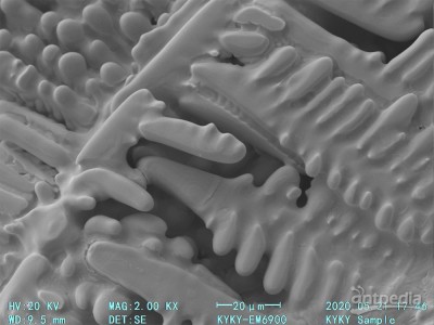 KYKY-EM6900钨灯丝扫描电子显微镜用于组织学研究图3