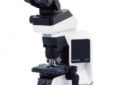 BX46 临床显微镜