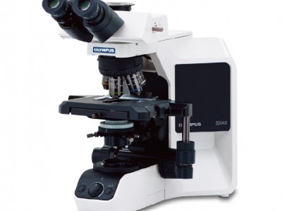 BX43 手动系统显微镜