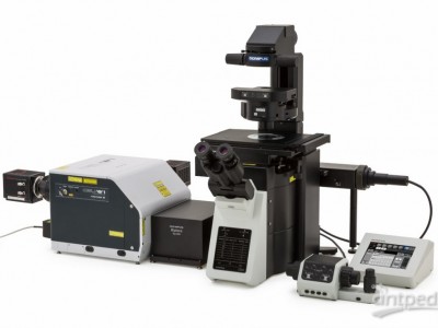 IXplore Spin 共聚焦影像显微镜系统