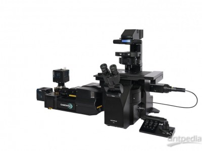 IXplore IX85 SpinXL转盘共聚焦显微