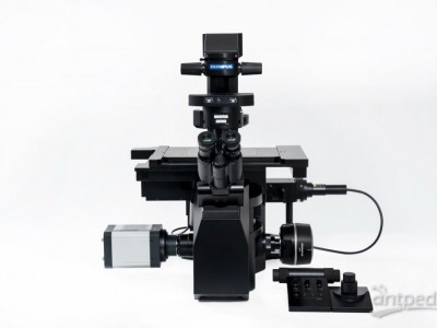 IXplore IX85全电动倒置显微镜