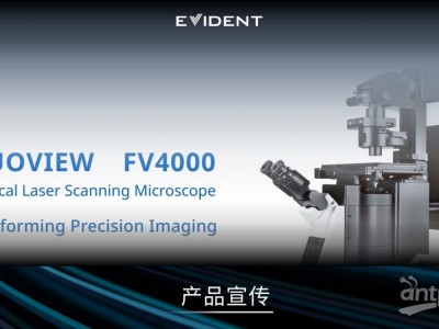 FV4000 激光扫描共聚焦显微镜