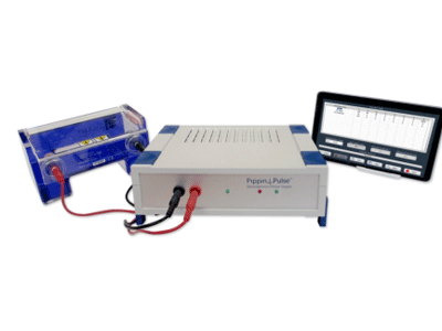 Pluse 脉冲场电泳仪