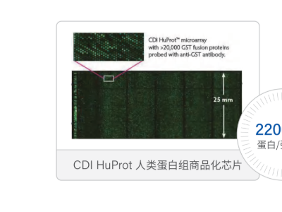 Mercury 100-S pl皮升级/nl纳升级/超高通量/高密度/微阵列生物芯片点样仪图2