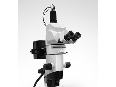 FluorVivo Mag体内细胞成像系统