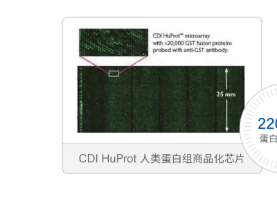 Mercury 1000微阵列生物芯片点样仪：蛋白互作/疾病标志物/化合物药物筛选图2
