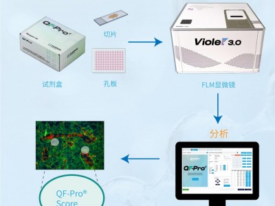 HAWK-超高精度原位蛋白功能定量分析系统图2