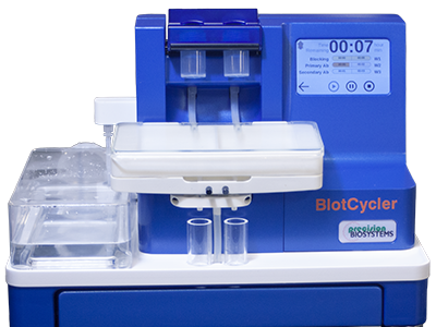 BlotCycler Mini全自动蛋白质免疫印