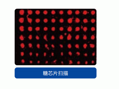 IS 710双色激光共聚焦/微阵列生物芯片扫描分析仪图3