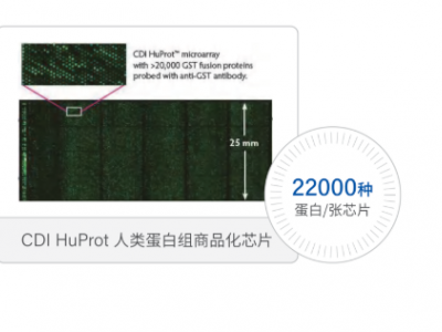 Mercury 100 微阵列生物芯片点样仪：小分子化合物/蛋白/多肽/核酸/多糖高通量筛选图2