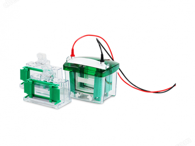力辰EA系列电泳仪图3