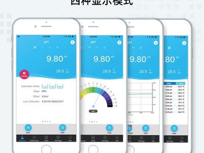 三信 PH60F-Z智能蓝牙平面pH计图2