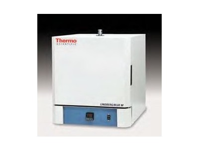 Thermo Scientific Lindberg/Blue M