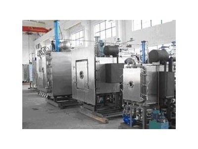 BIOCOOL品牌Pilot10-15T中试型冷冻