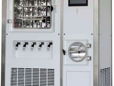 Pilot10-15T中试型冷冻干燥机（全自