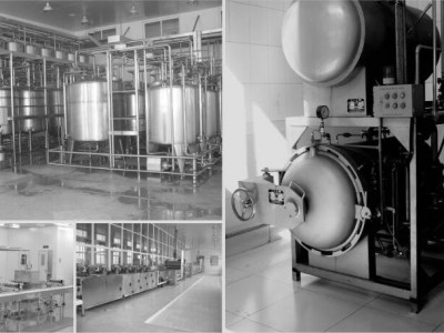 XL100~10000香精香料调味品生产线图3