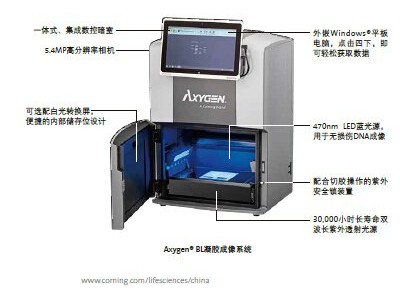 Axygen® 凝胶成像系统 GD-1000
