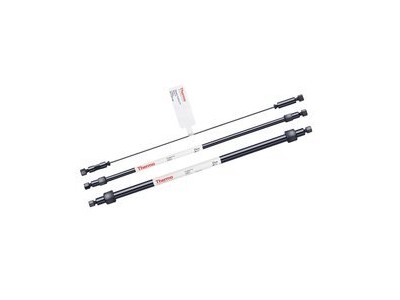 Dionex™ IonPac™ AS22-Fast-4µm 