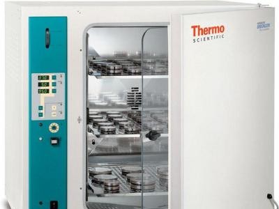 二氧化碳培养箱(Thermo Scientific 