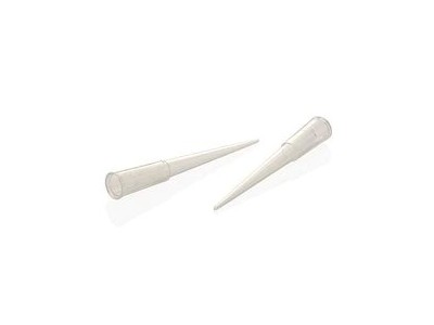 Thermo Scientific™ 113-RG-Q QSP