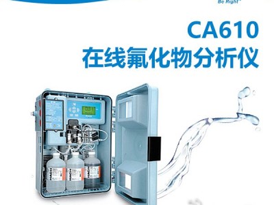 HACH哈希 CA610在线氟化物分析仪 地