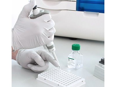 片段分析仪系统 CRISPR 试剂盒