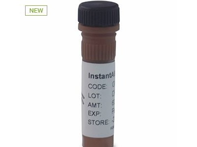 InstantAB 标记的多聚糖